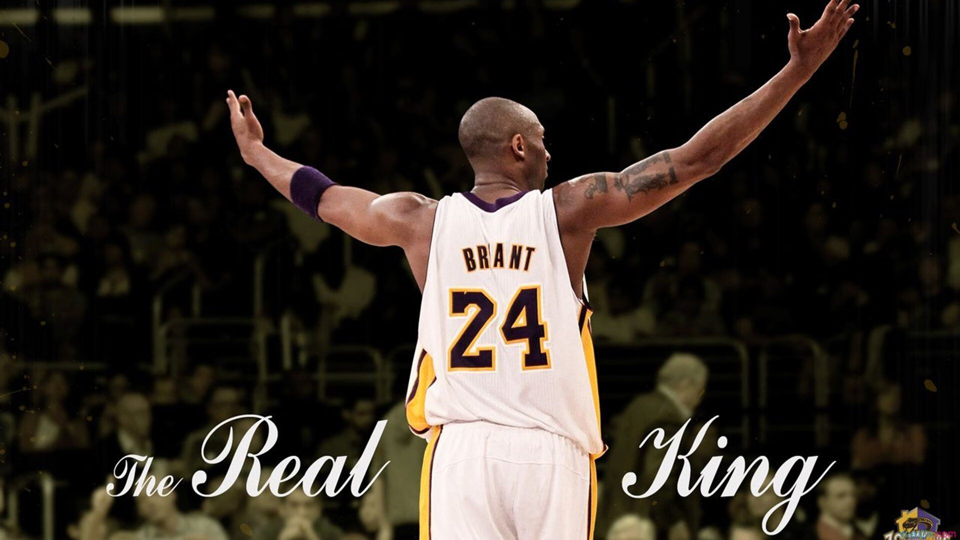 _国内外选手精彩对决，激发青少年运动热情_，青少年运动排名